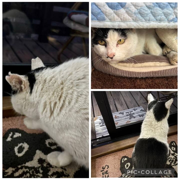 135d9c87 ab83 471a 87e8 2ad621f66bfe 1769484624141