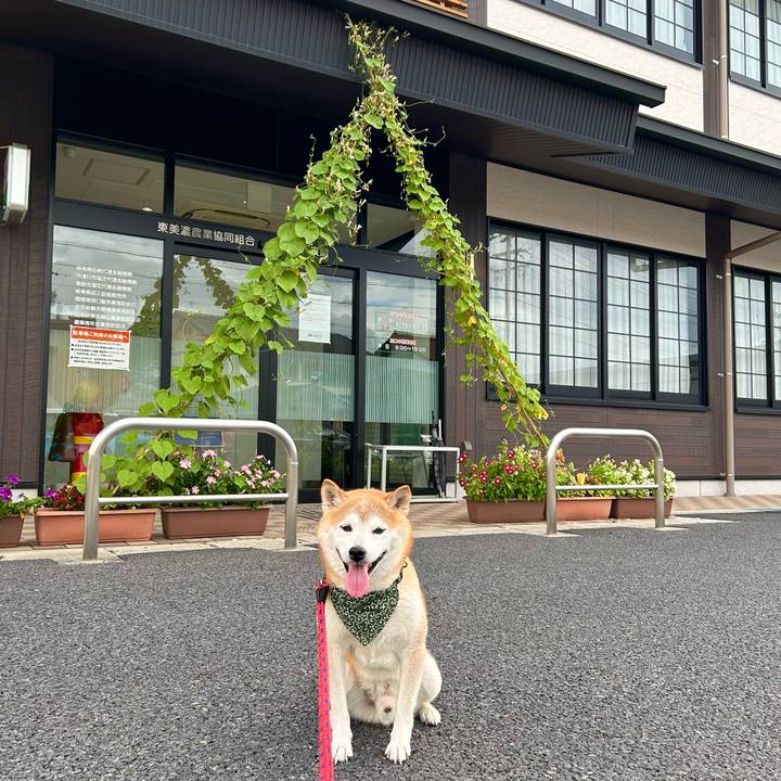 135e151b 7da0 4f07 847b dc8ca3e66829 1726661149595