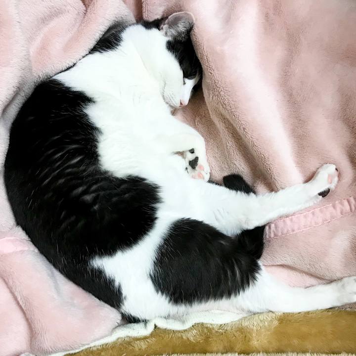 135e2093 b85e 4fdf a973 b2ef72cfbc8e 1512436458557