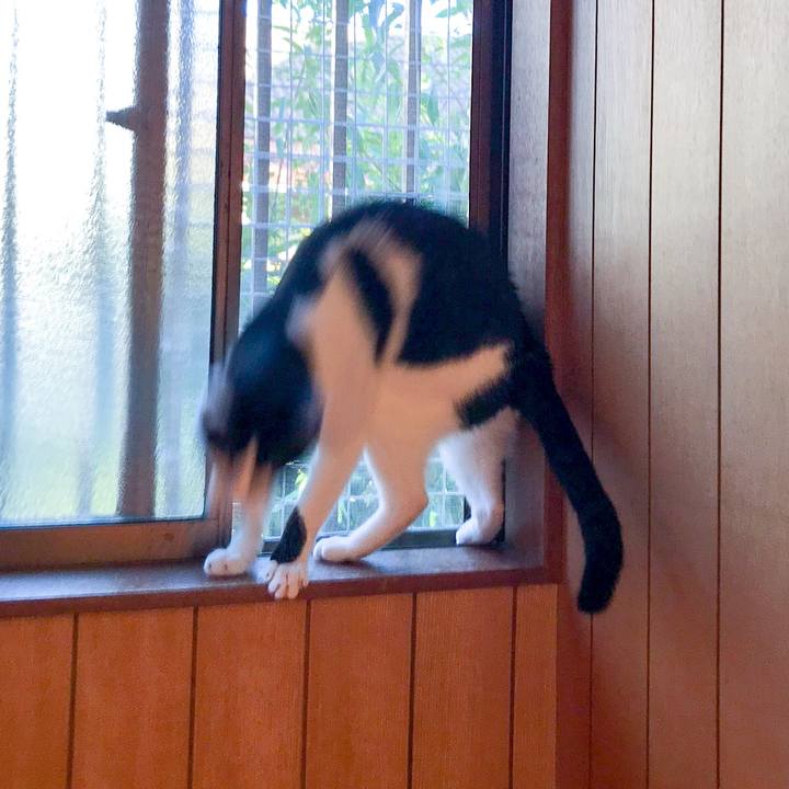 135e263a 3569 4cae a040 573dc977dd07 1509091887105