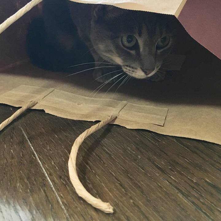 135e3544 2325 43fc abc5 13ba086419c5 1523489938730