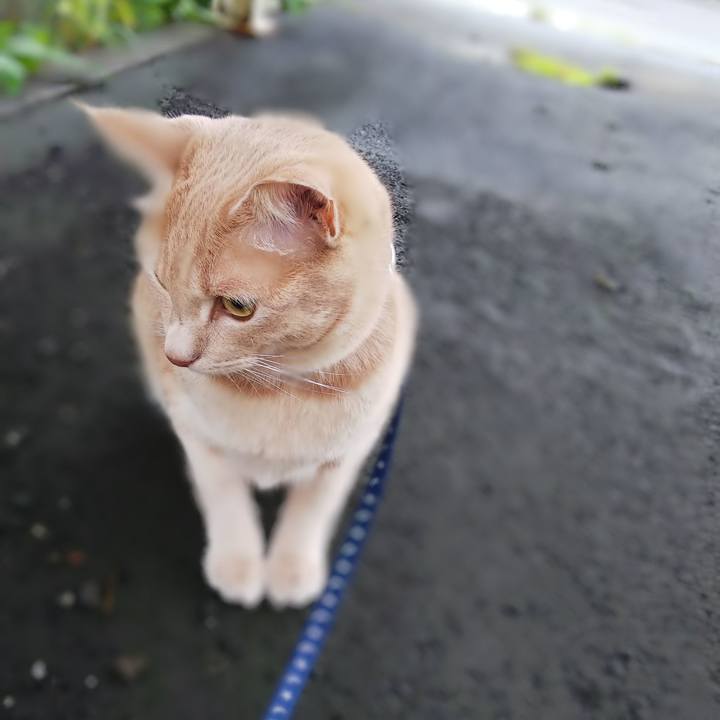 135e4996 e8dd 460d a33d 7de0d61b4ca6 1567031459468