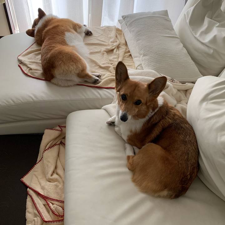 135eb616 e4c9 46a7 ab4d 83b3d1f9b9be 1587710698509