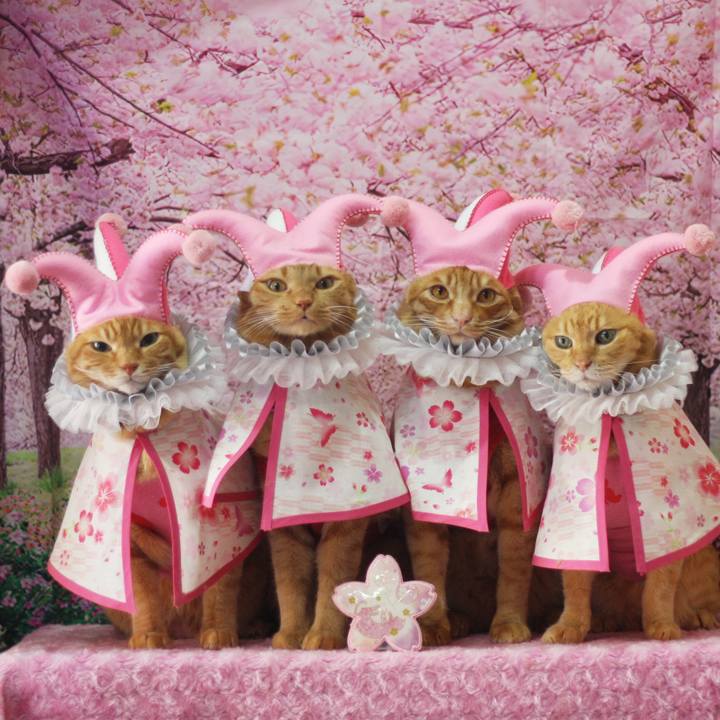 135ece81 4825 450d 96d6 11ec9f4833c2 1710061937521