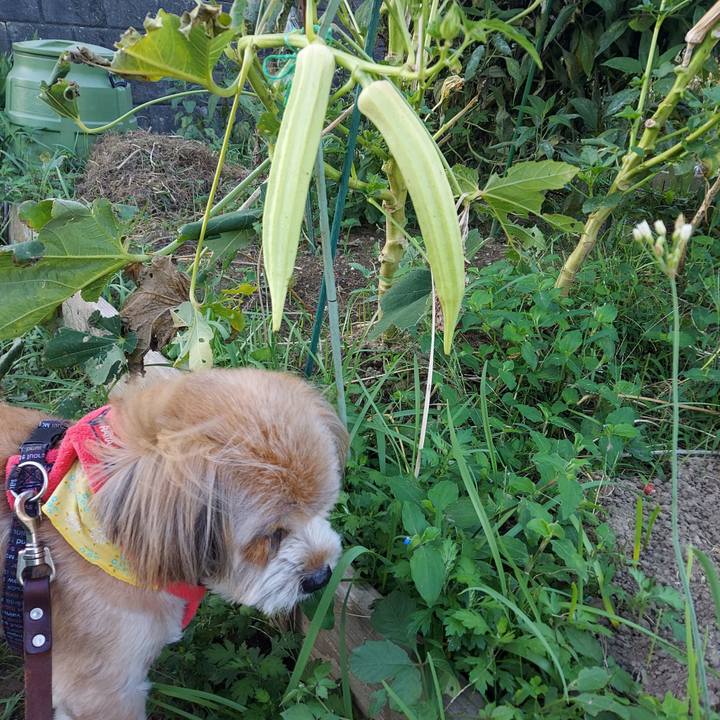 135ed0a1 73c7 44d1 a4ac a27be52fcac6 1664921296538