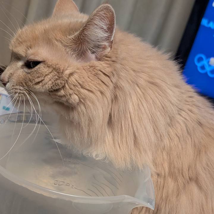 135edf31 2b0e 4039 bf2c 967dc66d0781 1771071512601