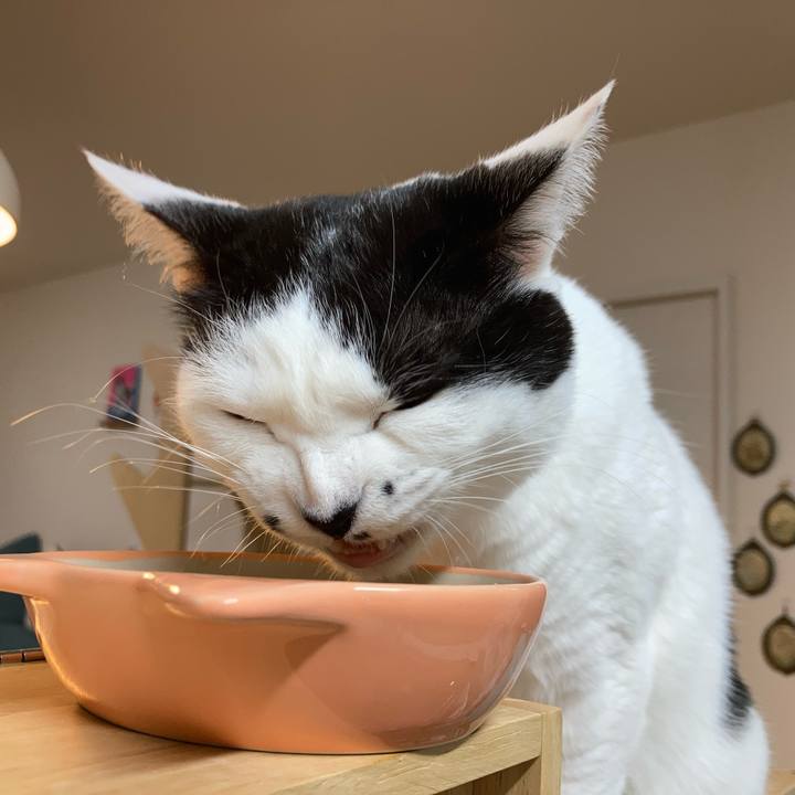 135ee822 701c 4d65 91bf e73f6f6f9eca 1765919168559