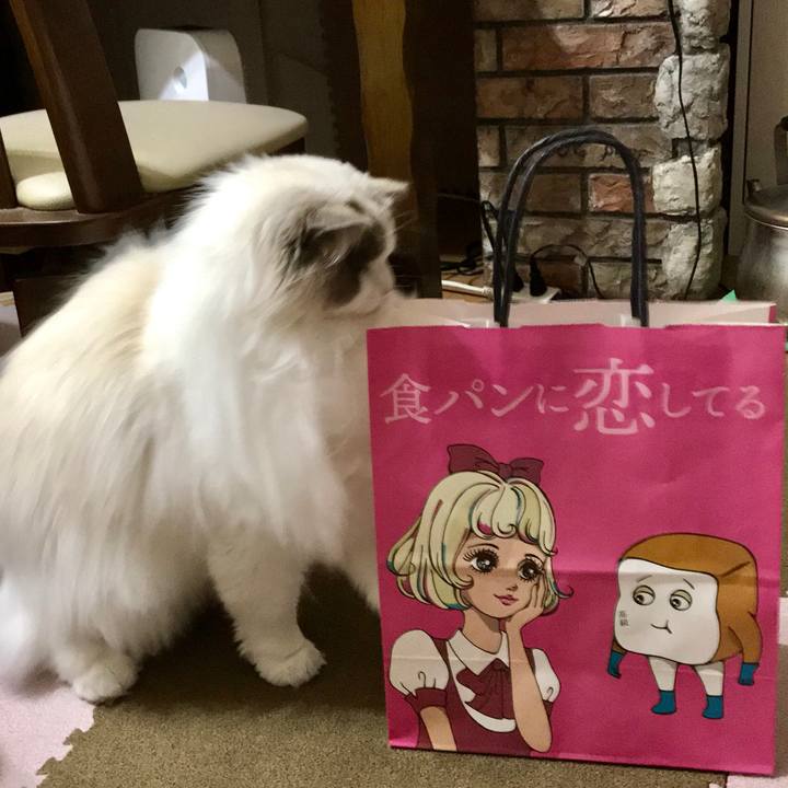 135eea66 90c1 4aca a345 abd0bfc70bc3 1610915790734