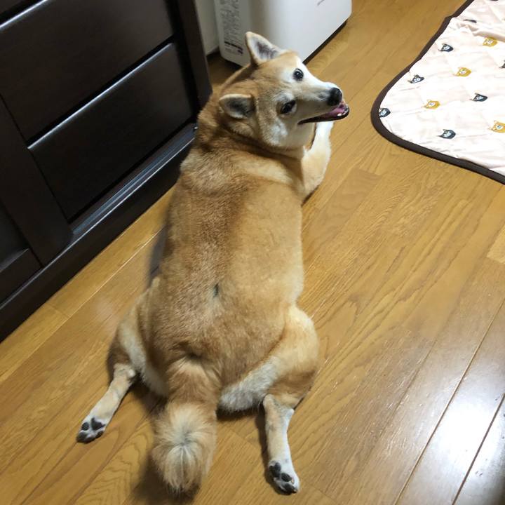 135f1e3f 2d87 4d53 9e07 73dce01eee8a 1565262311999