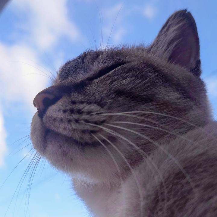 135fbee4 c2a0 49e9 8a8b ed1d1c5761a3 1758412289821