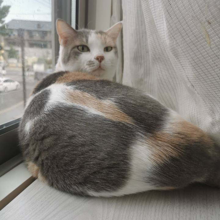 135fe63f 7bda 4e1c bd1c 6d274367d8f0 1663039800907