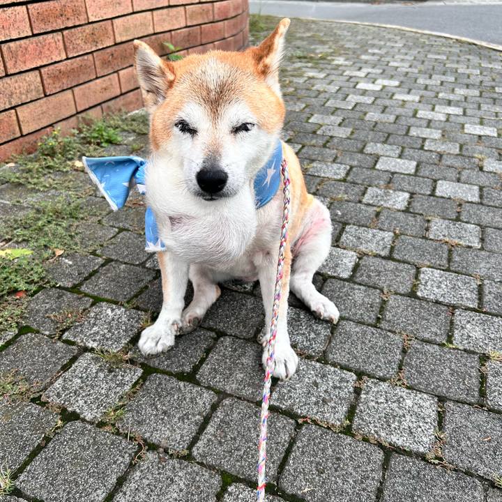 13603008 8220 4b08 9b8a 513c6a0461f8 1757977361077