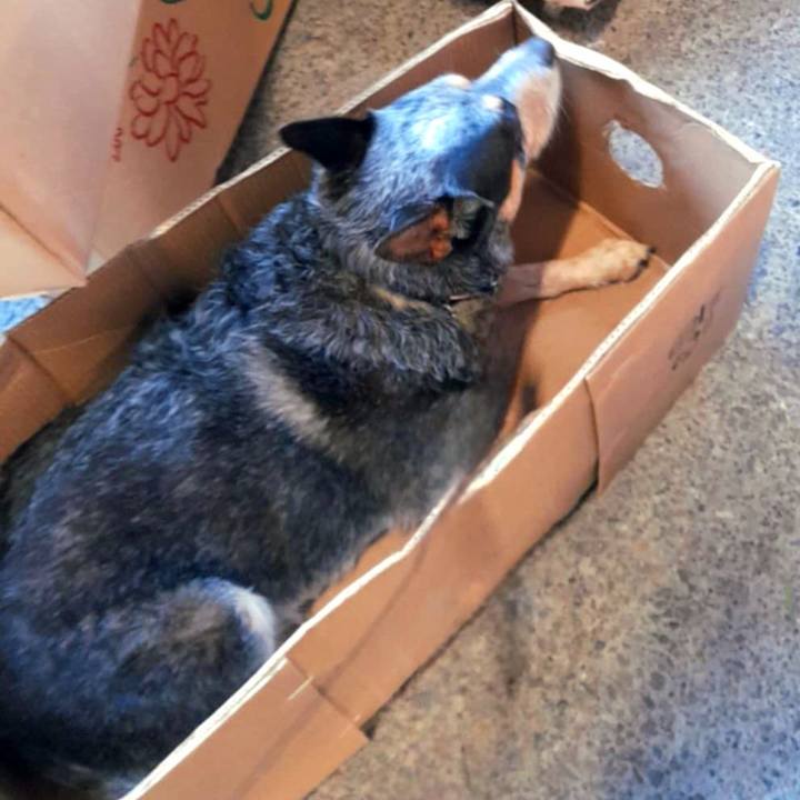 13604dab 6b7a 4ad8 a70d 00b6224ab08f 1774914402516