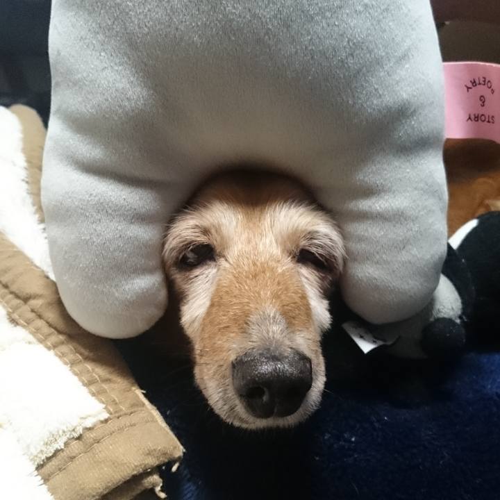 13605652 8e09 4fe2 abb2 f7a690f37d8a 1654597826681