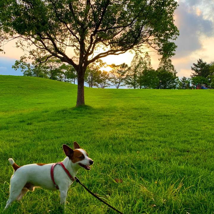 136065a9 479c 4658 8b17 c08c5f3c89c8 1563361706149