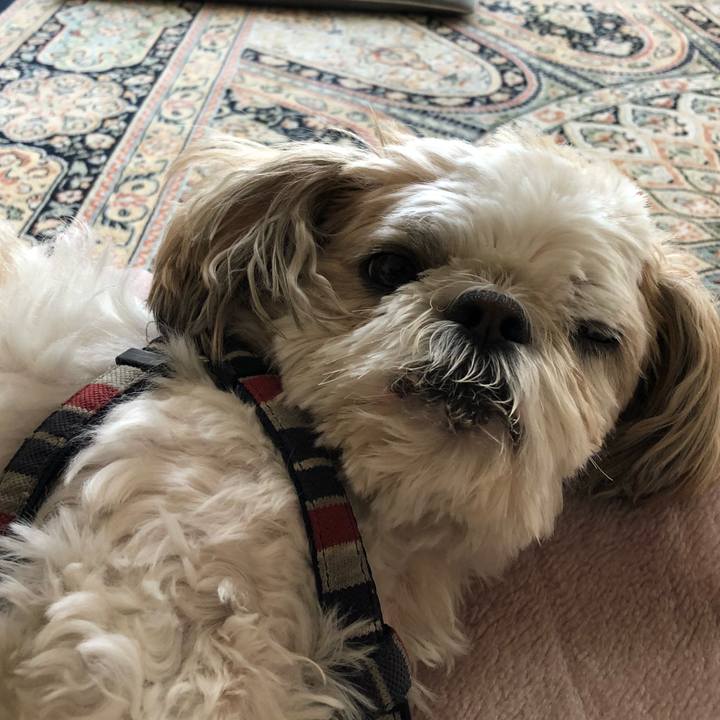 1360b534 c4b6 464c b489 8e70791d7d31 1523569725581