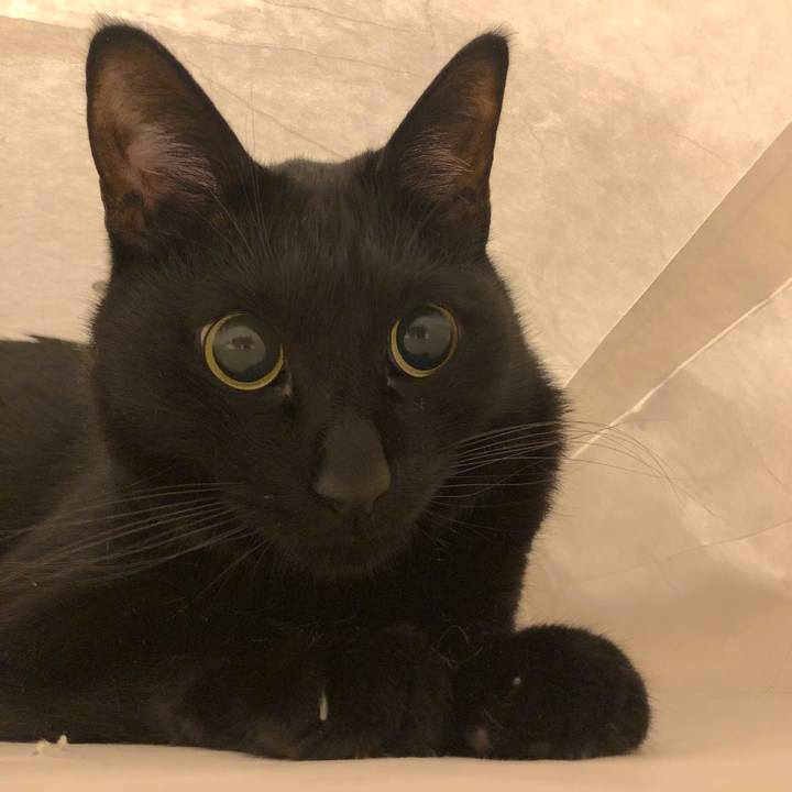 1360be04 b2da 4b08 b828 4b40c317e950 1552741375333