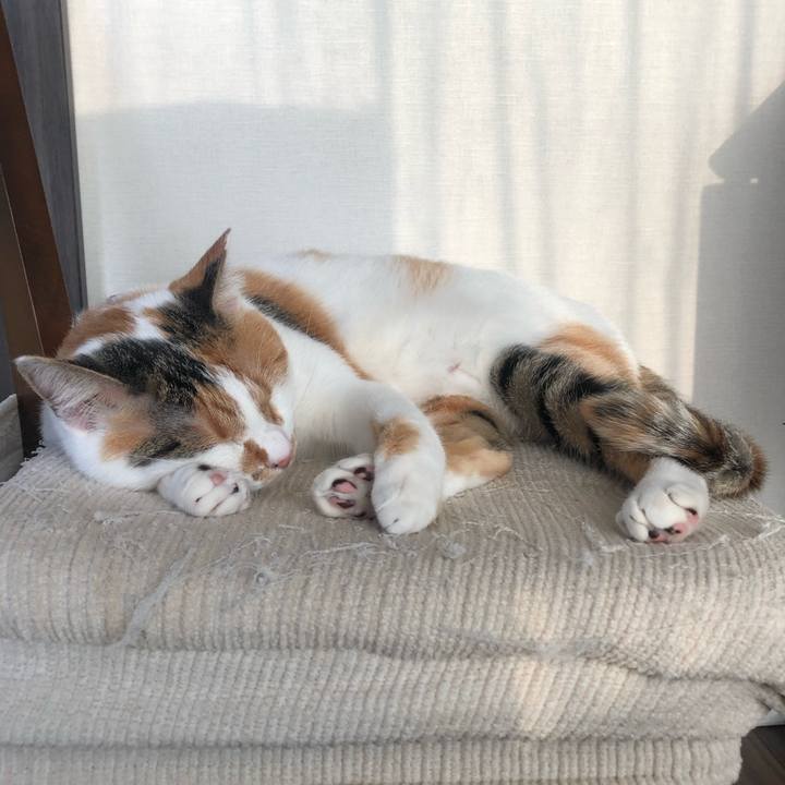 1360eb2b b3a6 4042 a50a 818408932c23 1603522844411