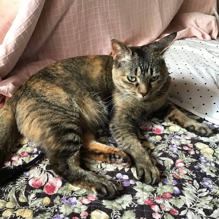 136101d4 2506 4f1b bb0d 452ac1f5fc8d 1654387588570