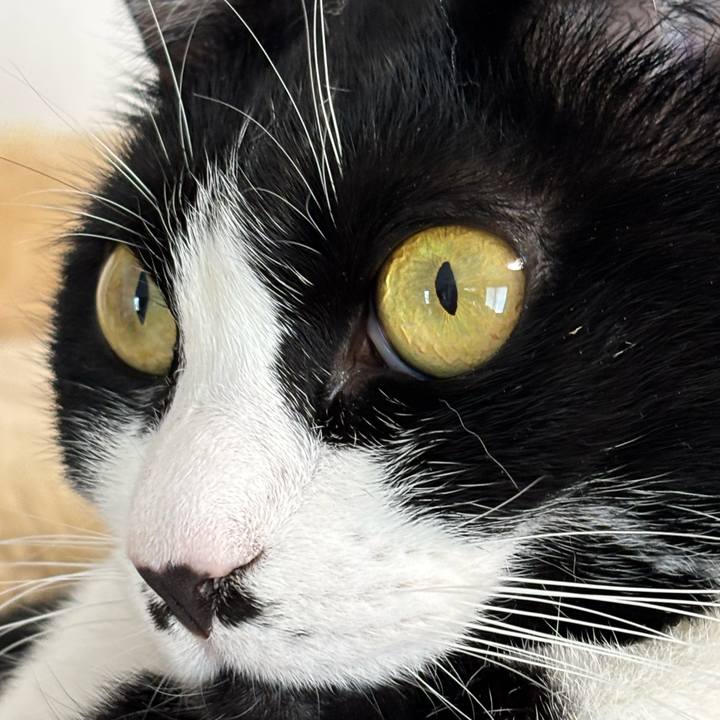 13617f23 e8a5 41c7 a5c8 fc7d1dfe5a7f 1772246306447