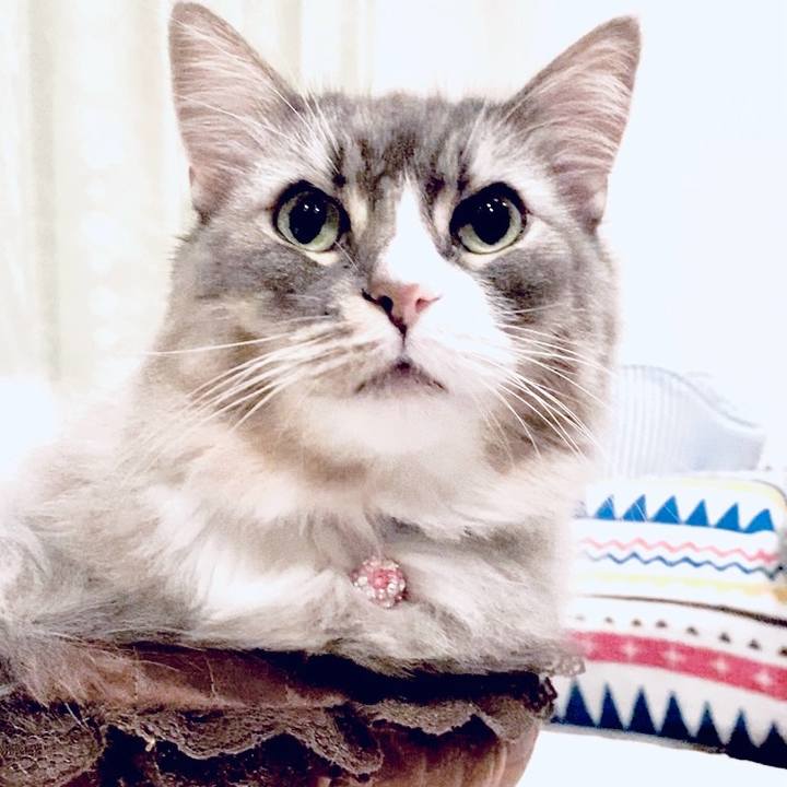 1361bb42 792a 4943 a261 c6e533a27f17 1756655500047