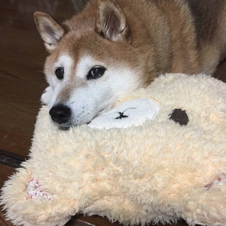 1361eb22 283d 4116 adda bb3200f12ee4 1537530065866