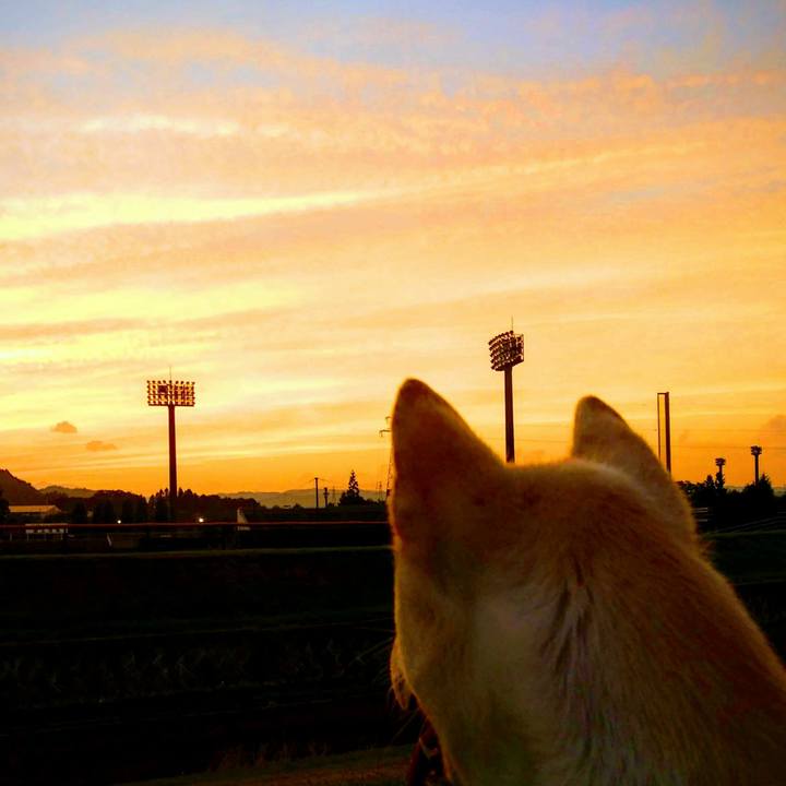 1361fcc0 5fc2 415f 8d9a 5cf4bebdcb57 1532173922742