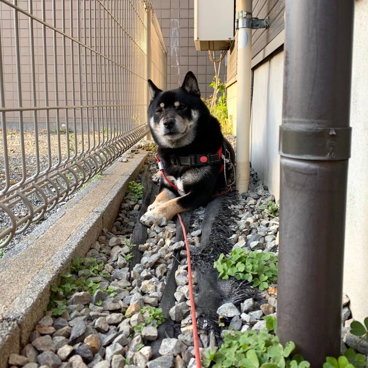 1361fd03 4ec1 4833 8127 56a1d9c28ec5 1584778237536