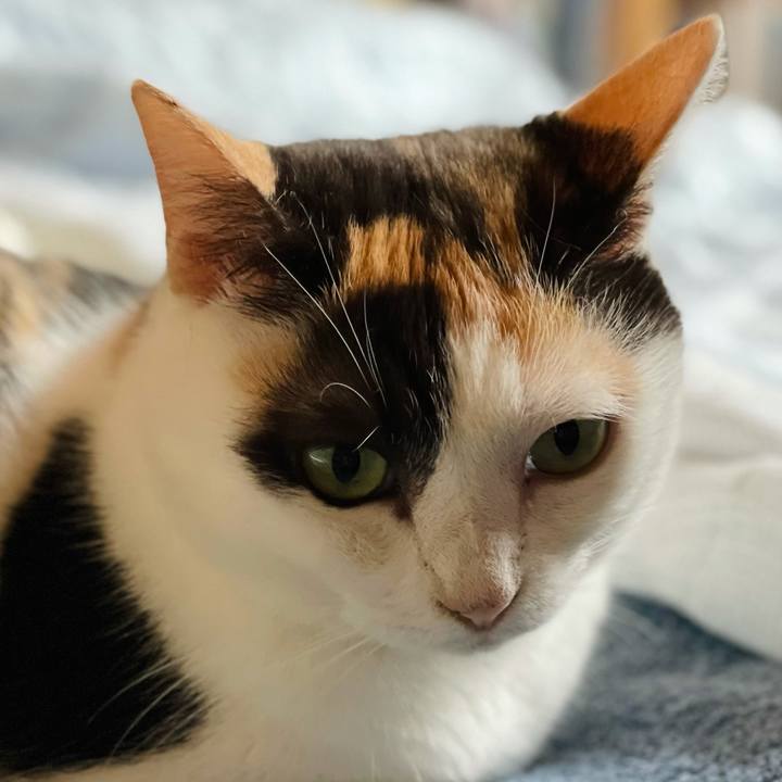 13620ea3 3399 40c2 a90b c0d780e1def6 1631933171037