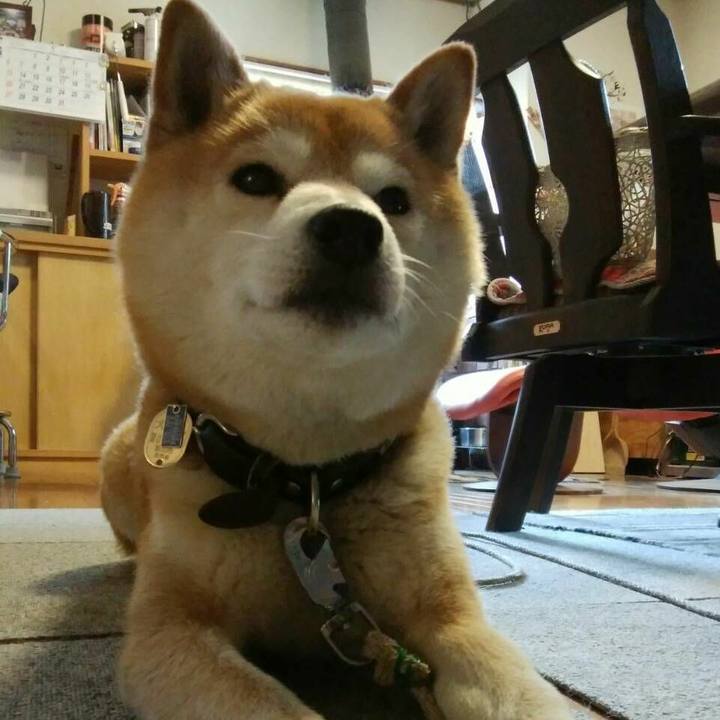 13621a69 608d 4a1e 993a 6e94ecf0eeb3 1525391458960