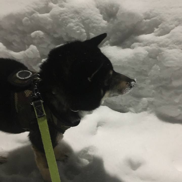 1362473e 7e3d 482e a2de 0d1235177e33 1516616058664