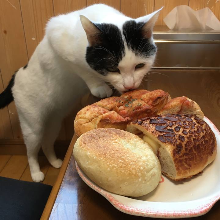 13627c9b 18b7 44e8 a4bc f25337356aa0 1533163017066