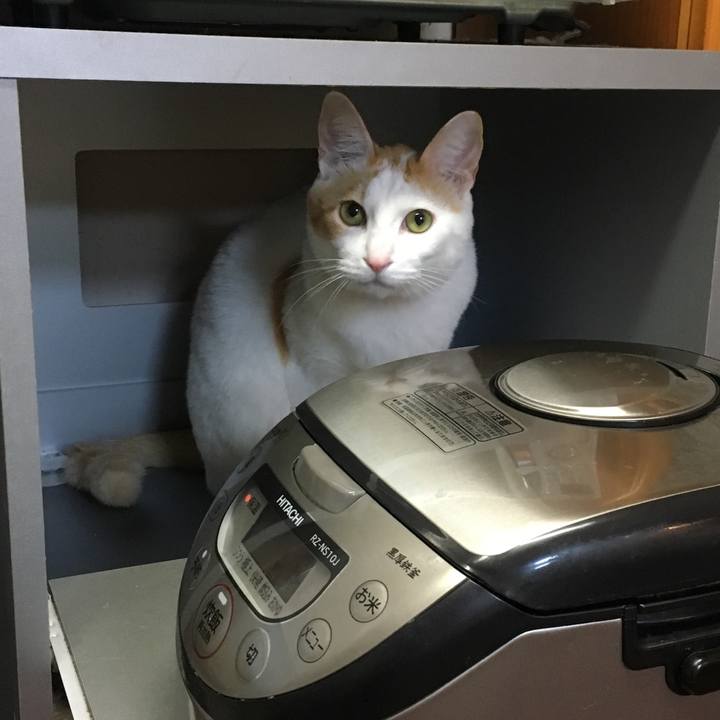 1362f326 379c 4838 b0a6 8921a27dfbd4 1513163497823