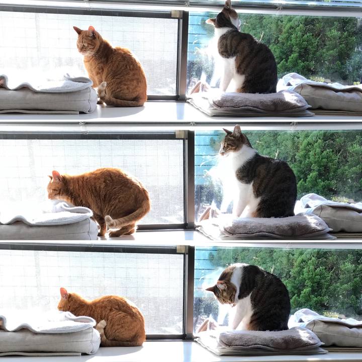 1362f9ea 0a6e 4e6f bdec 6609b37755d6 1513941386989