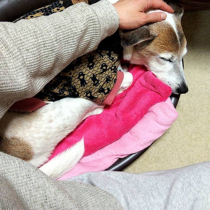 13632024 f227 42d9 86b2 c9b7b52ef7e8 1579346413263