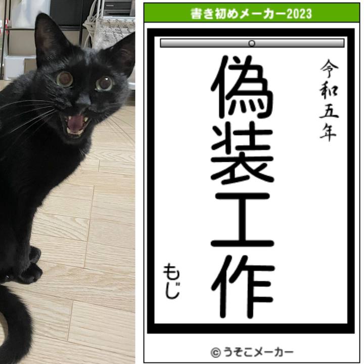 13632c22 d17a 4886 a632 580b3a5edbed 1672555650997