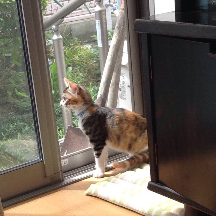 1363496a bc7d 4c9a 9e51 18c106b26d10 1629249702431