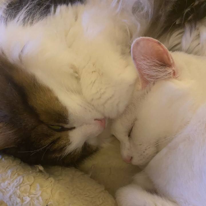 13635724 0fef 41ef 928f 7e05452b80c1 1699153154054