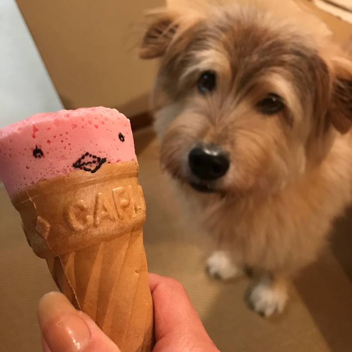 1363a18e cd49 445c 832a 24da68da84ae 1540464128857