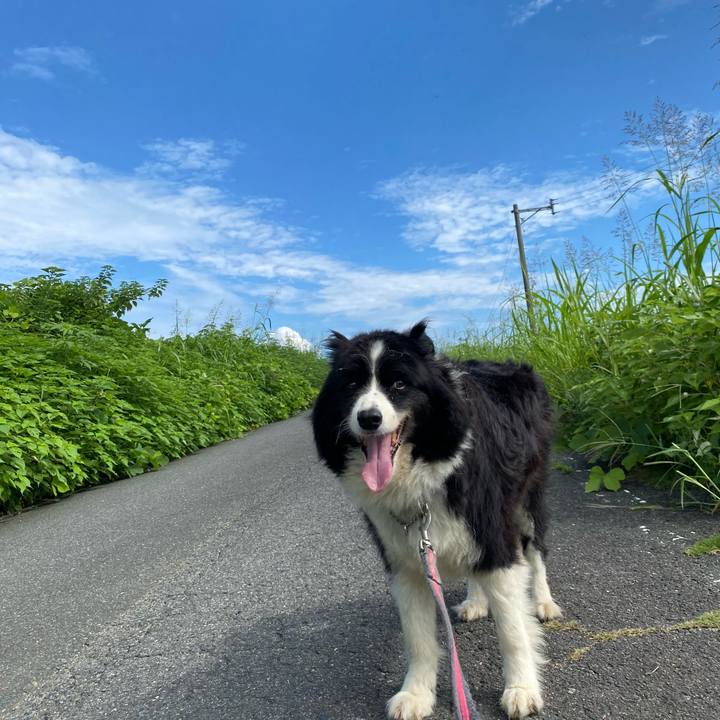 1363a3b4 1508 481c 8e2d 8de389ed7ceb 1693706335114