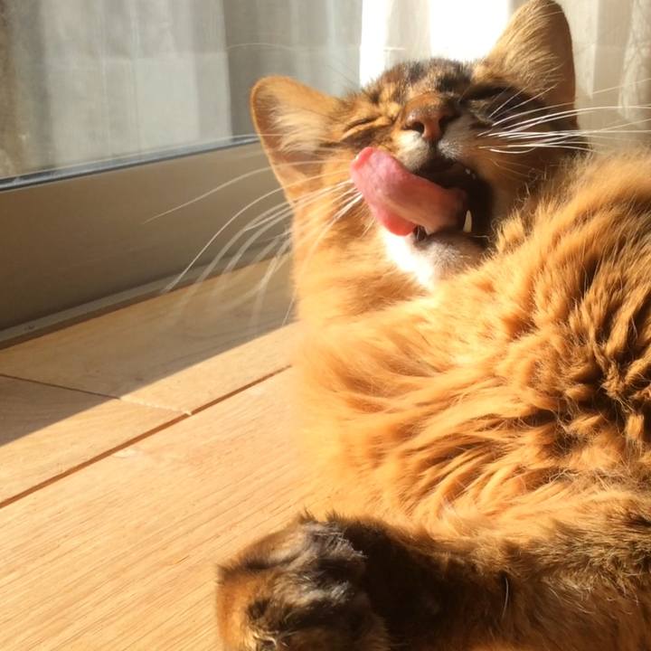 136460ca 62f6 4c76 bf51 221d218e8590 1610158770414