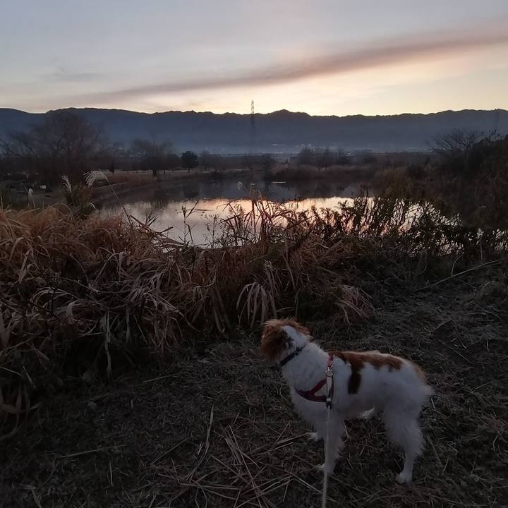 136468de d38b 4b81 80ba d2783d25abb6 1579131602137