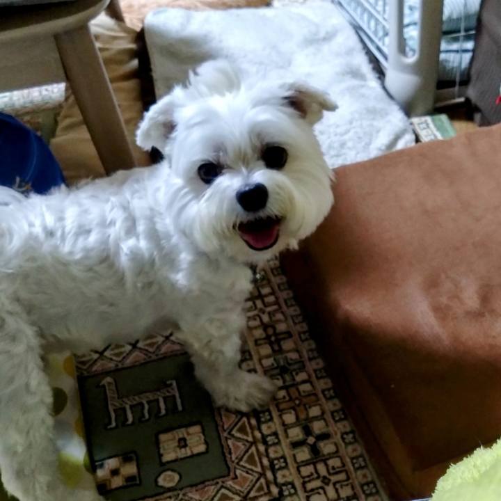 1364a10b 3cb4 43b7 98e1 3a171bd36c28 1695820250926