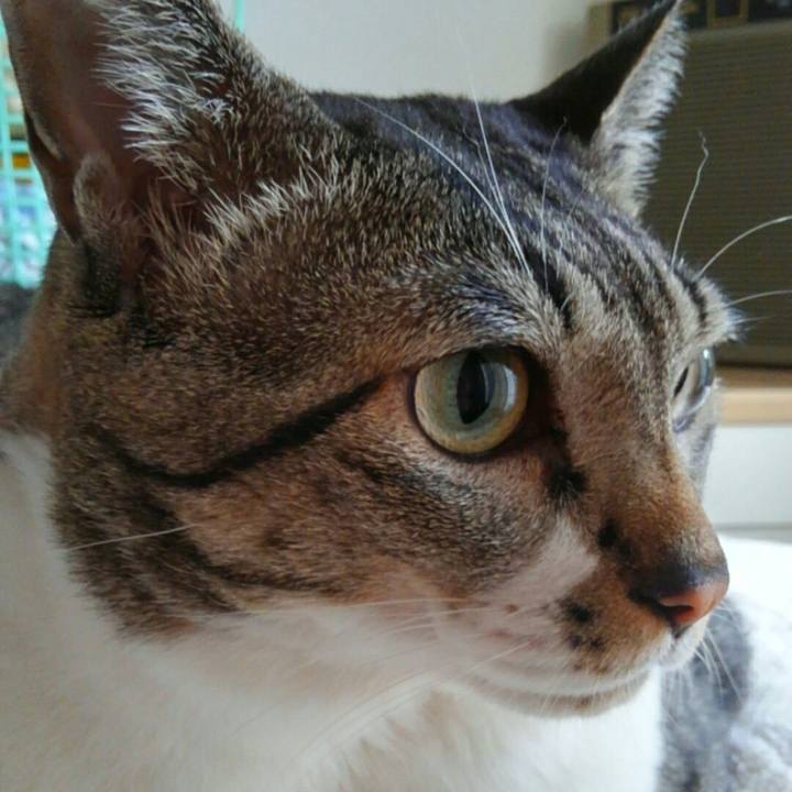 1364a7eb 56e1 4ab4 9a3f 8fd444d8808a 1507943521008