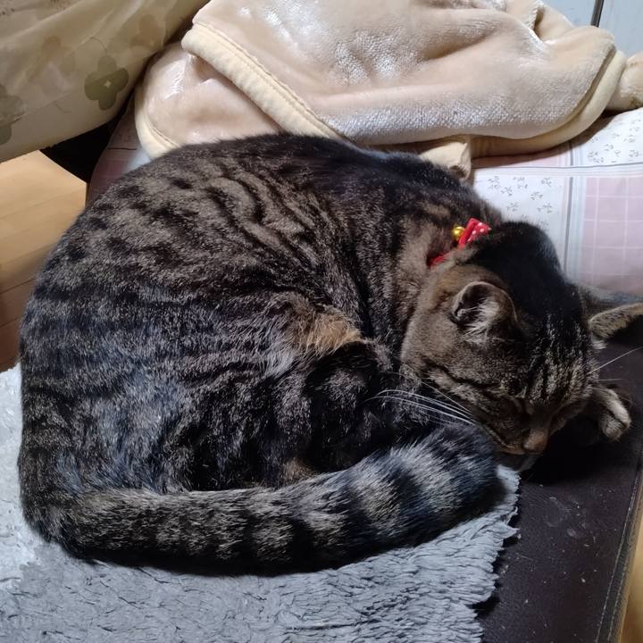 1364b42c b076 43e6 9bc7 f74968a8feb8 1671279213910