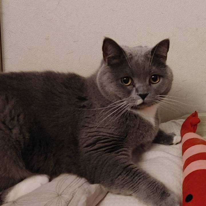 1364bfc9 e8d5 4283 8f0b 896fd6057f0b 1615543545041