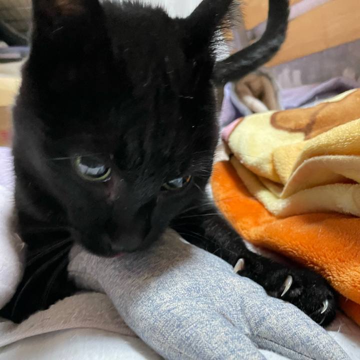 1364cf84 2533 4367 84c0 a4185e60f316 1636596748028