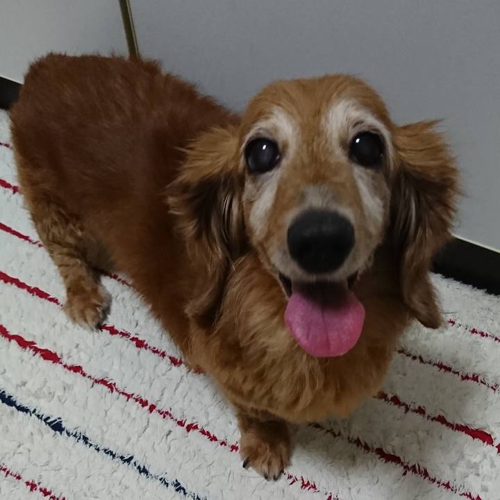 1364d3fb afa2 45f8 9fa7 72d15ca5feda 1592179318475