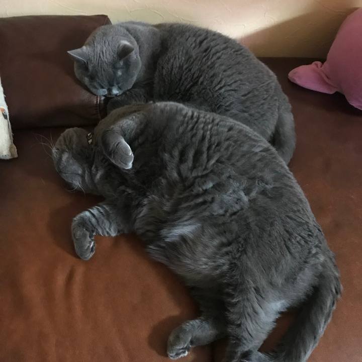 136521a3 915e 4173 9145 1a99755d7825 1773478516697