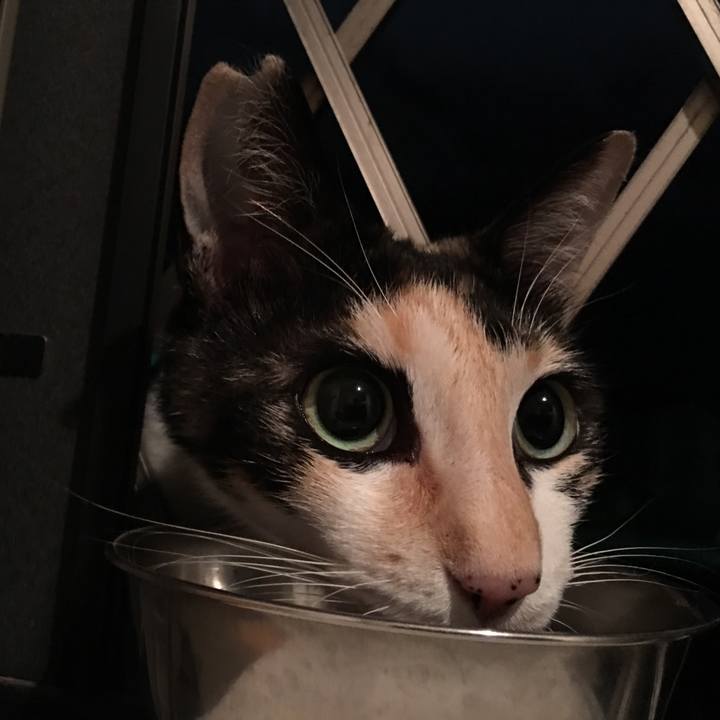 13653920 ec31 4dcc 8858 305e2144e8bc 1529111580070